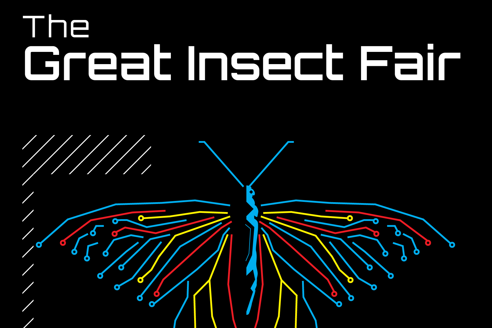 great insect fair circuit featured
