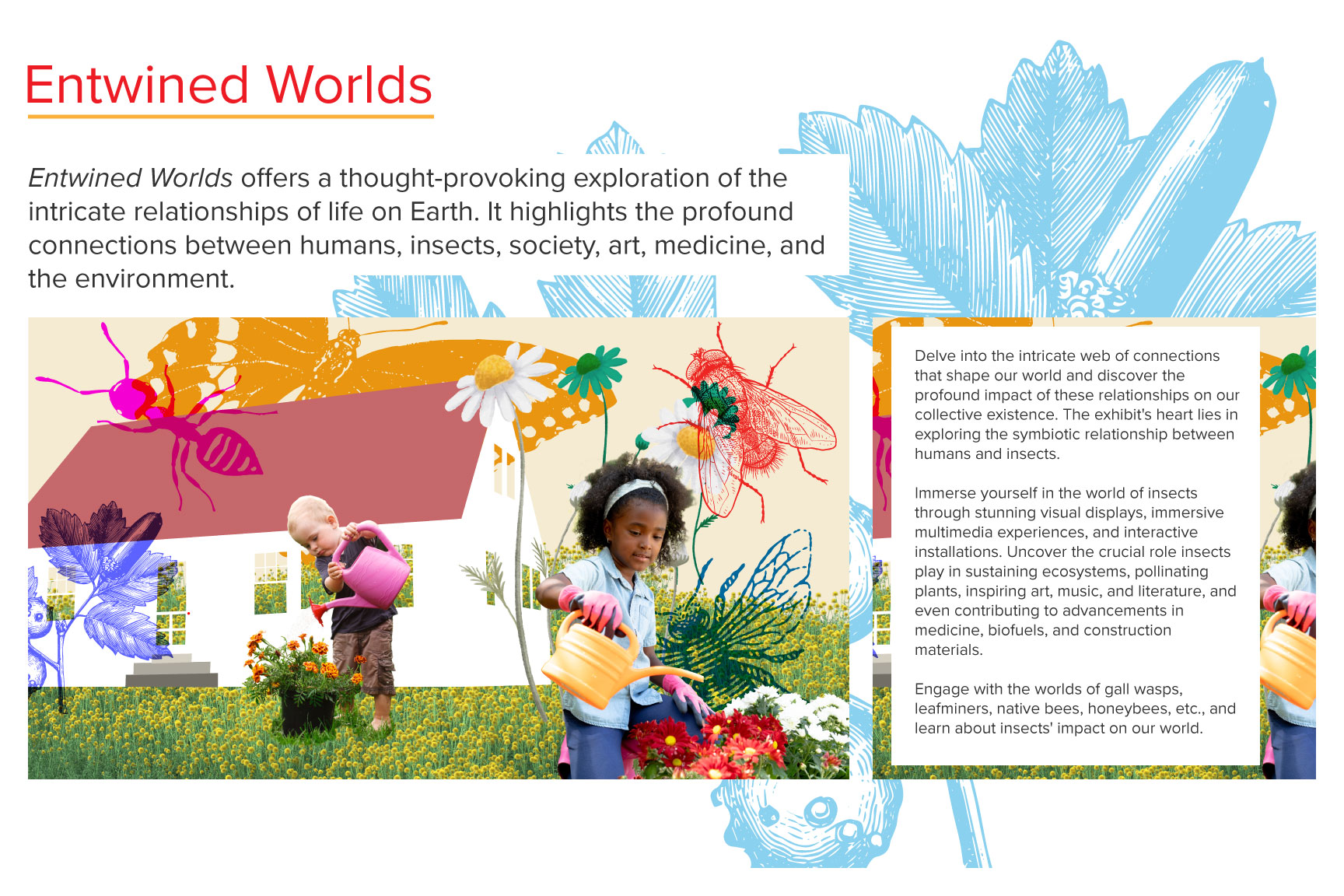 exhibit intro text